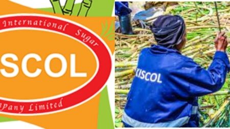 kiscol-collage