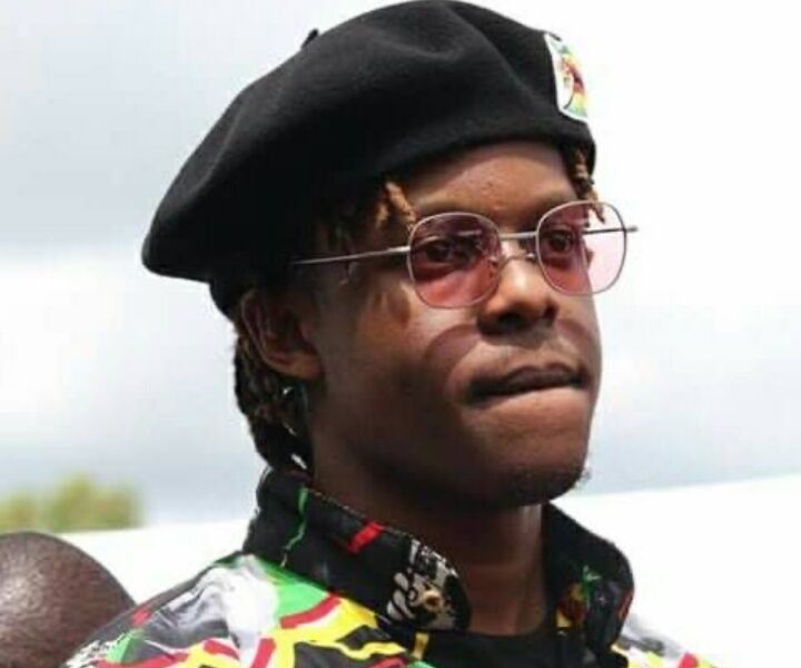 robert-mugabe-junior