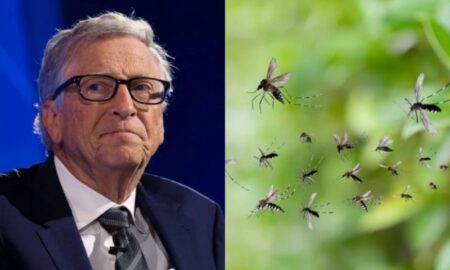 bill-gate-mosquito