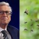 bill-gate-mosquito