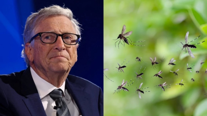 bill-gate-mosquito