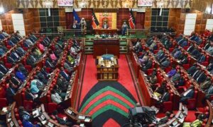 parliament-finance-bill-2026