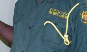 lavington-security-ltd