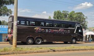 dreamline-booking