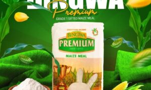 bingwa-premium
